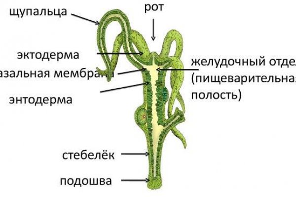 Кракен зеркало официальный kraken6.at kraken7.at kraken8.at